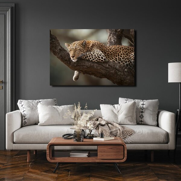 Tablou leopard odihnindu-se pe un copac