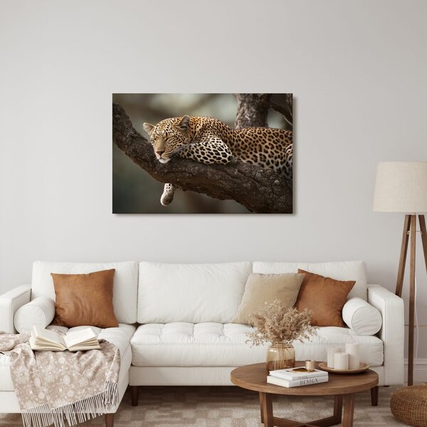 Tablou leopard odihnindu-se pe un copac
