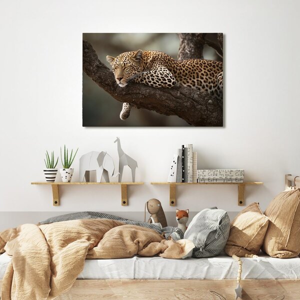 Tablou leopard odihnindu-se pe un copac
