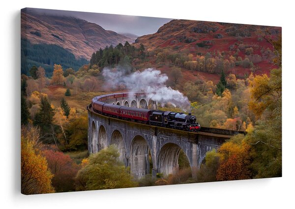 Tablou tren cu aburi