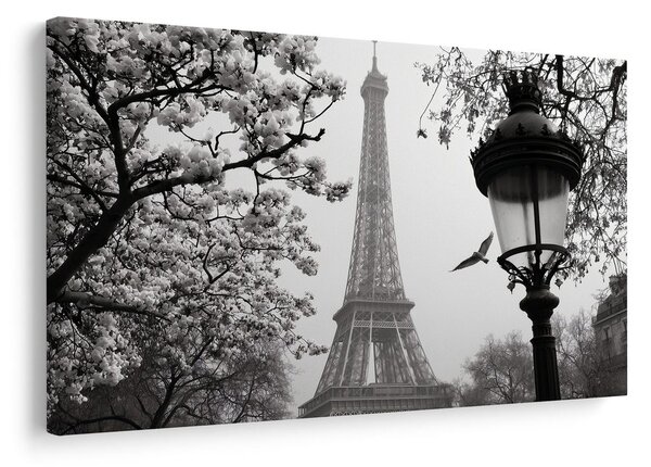 Tablou paris în ceața iernii