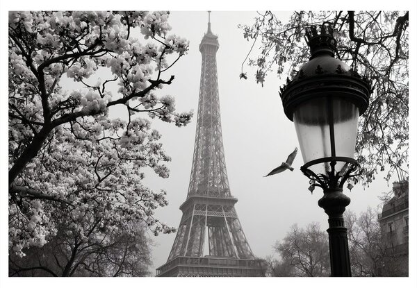 Tablou paris în ceața iernii