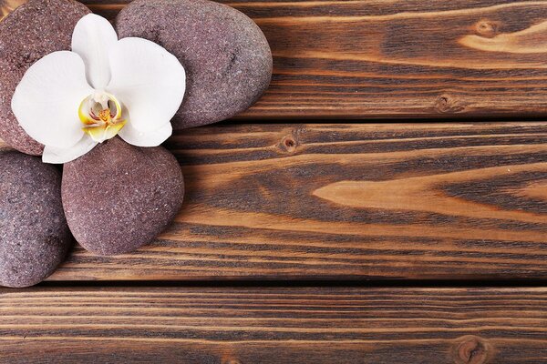 Fototapet pietre wellness pe lemn