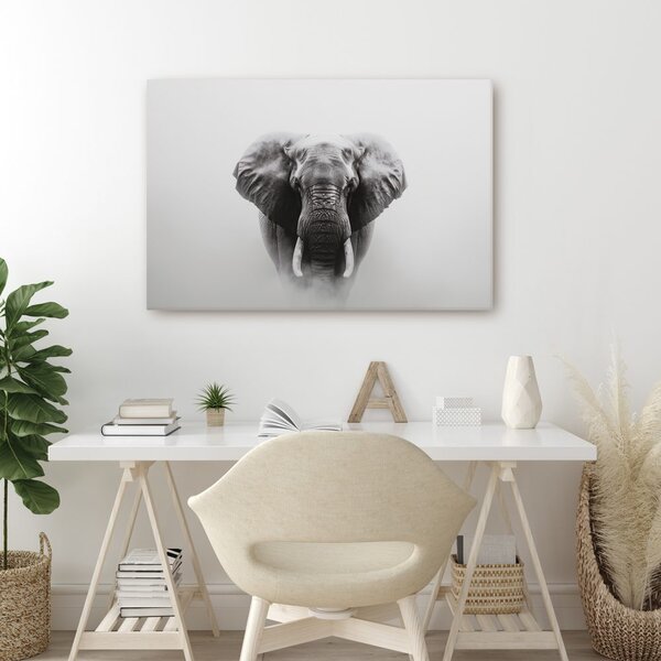Tablou elefant măreț în ceață