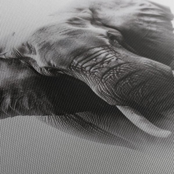 Tablou portret alb-negru de elefant