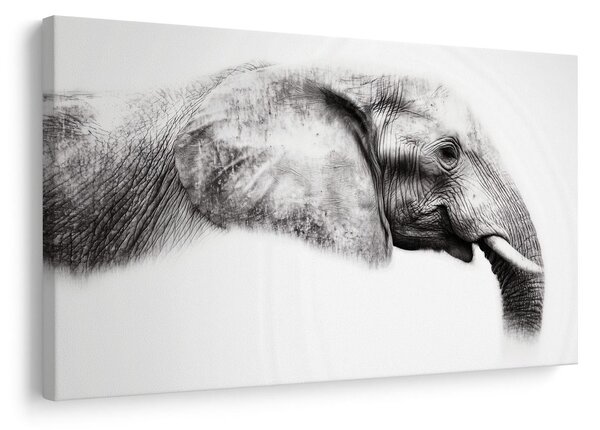 Tablou profil elegant de elefant