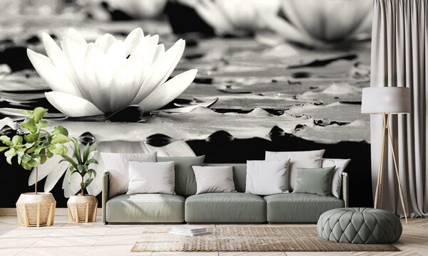Fototapet floare de lotus în alb-negru