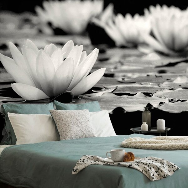 Fototapet floare de lotus în alb-negru