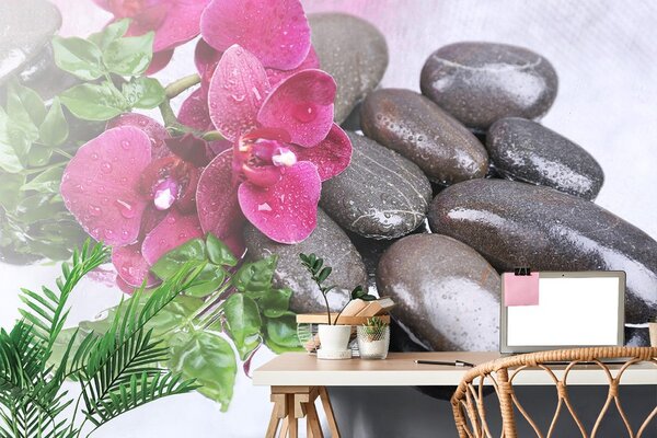 Fototapet orhidee înfloritoare și pietre wellness