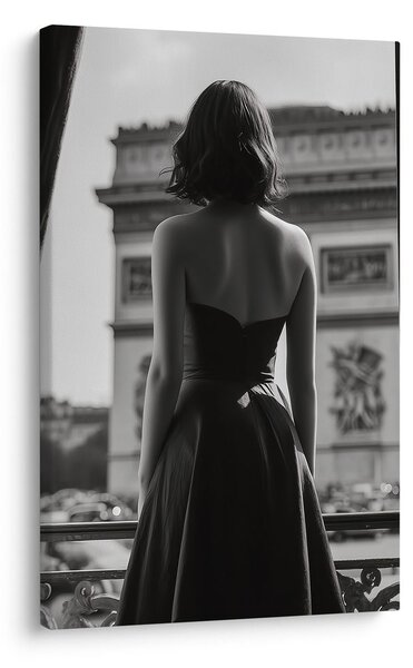Tablou eleganță în lumină alb-negru