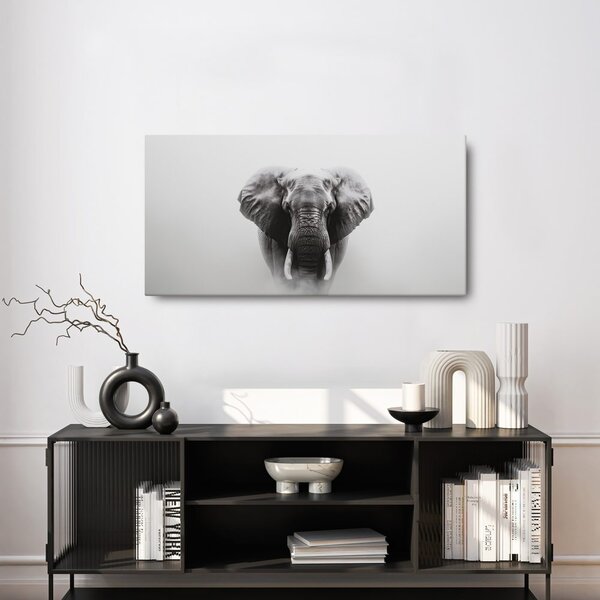 Tablou portret alb-negru de elefant