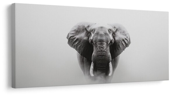 Tablou portret alb-negru de elefant