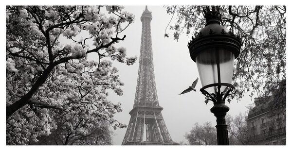 Tablou paris romantic de iarnă