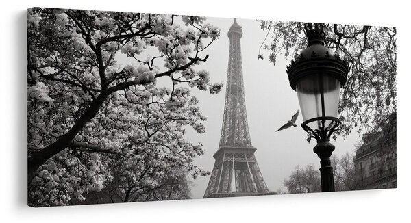 Tablou paris romantic de iarnă