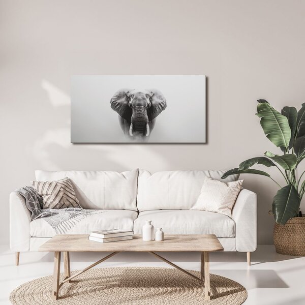 Tablou portret alb-negru de elefant