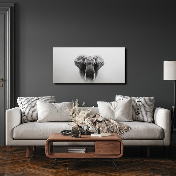 Tablou portret alb-negru de elefant