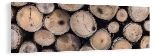 Tablou textura naturală a lemnului