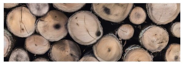 Tablou textura naturală a lemnului
