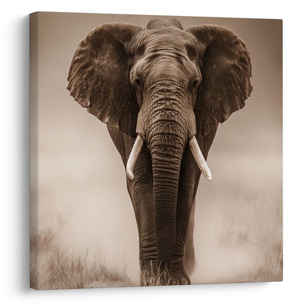 Tablou elefant african în ceață