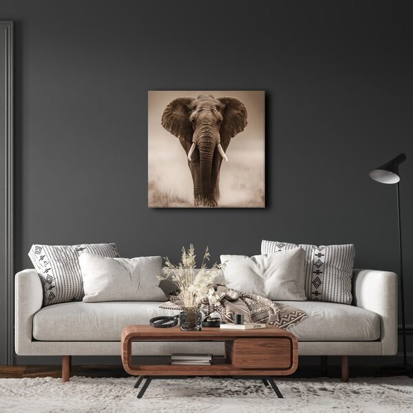 Tablou elefant african în ceață