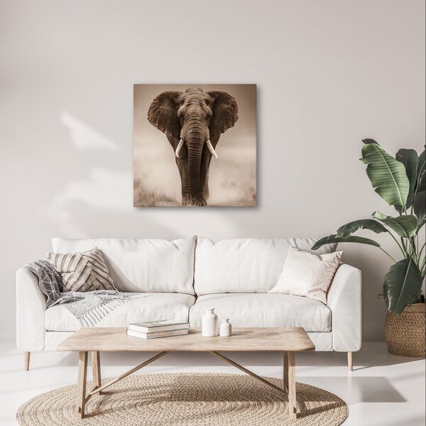 Tablou elefant african în ceață