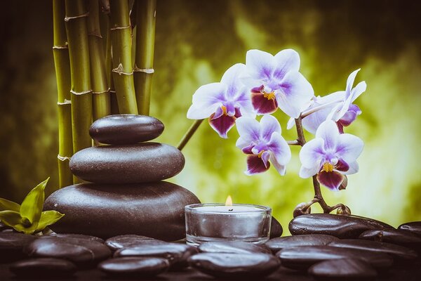 Fototapet natura moartă spa
