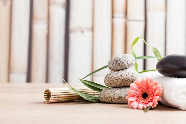 Fototapet natura moartă wellness