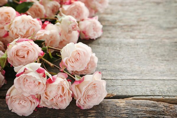 Fototapet trandafiri romantici