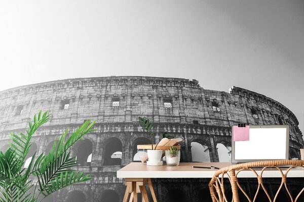 Fototapet Coloseumul în design alb-negru