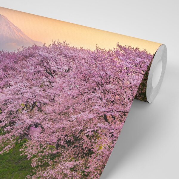 Fototapet Japonia minunată