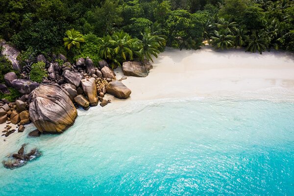 Fototapet coastă Seychelles