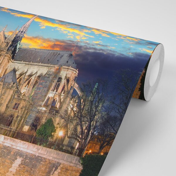 Fototapet catedrala Notre Dame