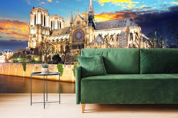 Fototapet catedrala Notre Dame