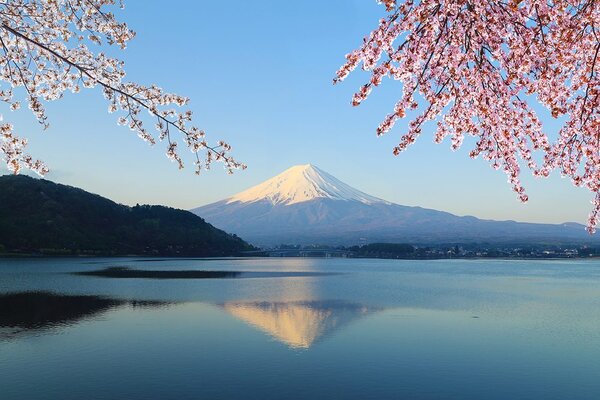 Fototapet vedere din lac la Fuji