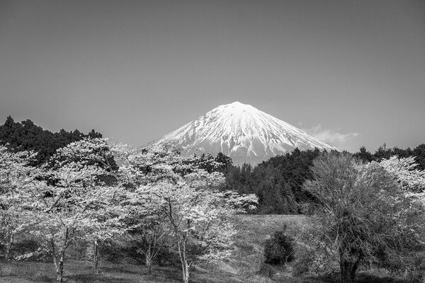 Fototapet muntele Fuji în alb-negru