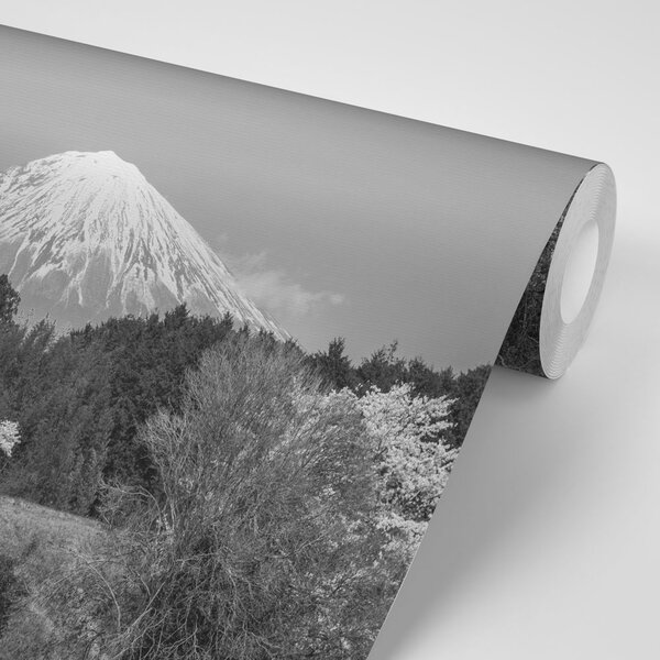 Fototapet muntele Fuji în alb-negru