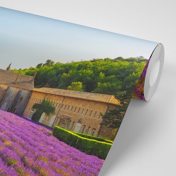 Fototapet Provence cu câmpuri de lavandă