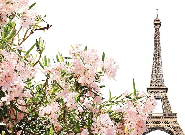 Fototapet Turnul Eiffel și flori roz