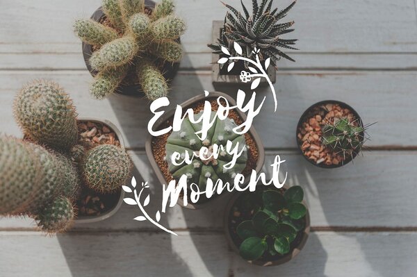 Tapet cu citat - Enjoy every moment