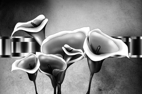 Tapet flori calla lilly elegante în alb-negru