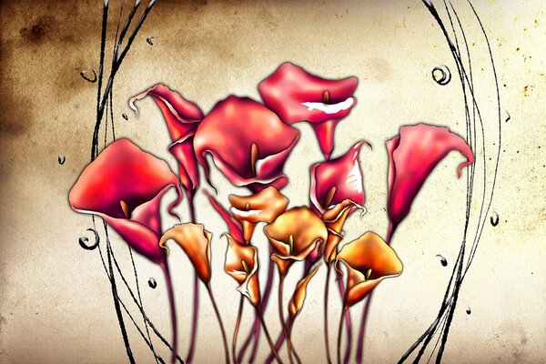 Tapet flori roșii de calla lilly