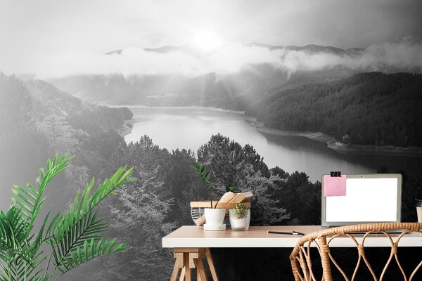 Fototapet râul în mijlocul pădurii în design alb-negru