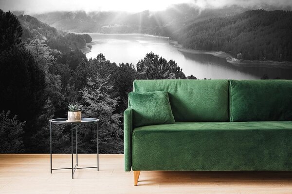 Fototapet râul în mijlocul pădurii în design alb-negru
