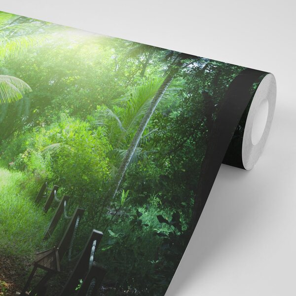 Fototapet drumul la insula Seychelles