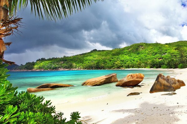 Fototapet Seychelles tropicale