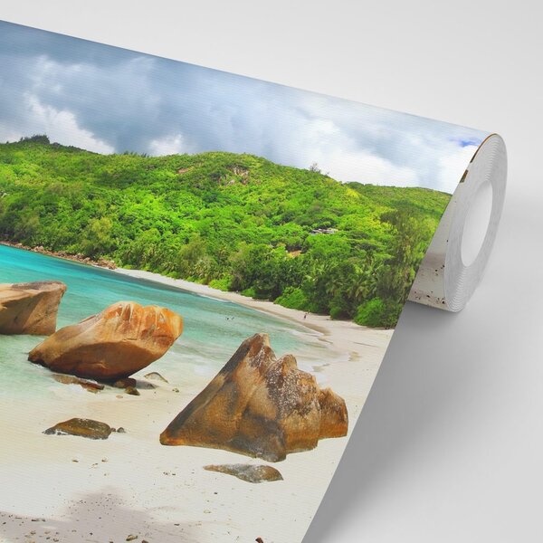 Fototapet Seychelles tropicale