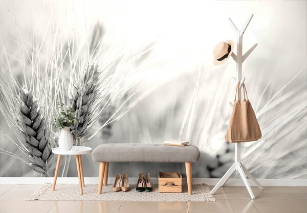 Fototapet câmp de grâu în design alb-negru