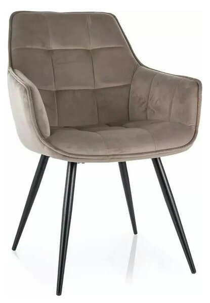 Scaun LILIA, bej inchis/negru, stofa catifelata/metal, 59x45x90 cm