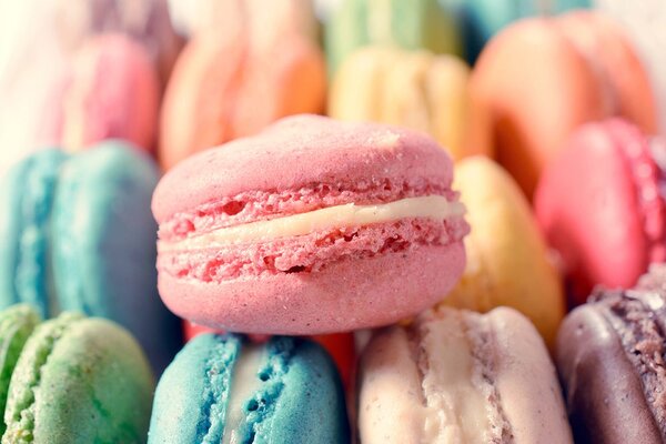 Fototapet macarons colorate