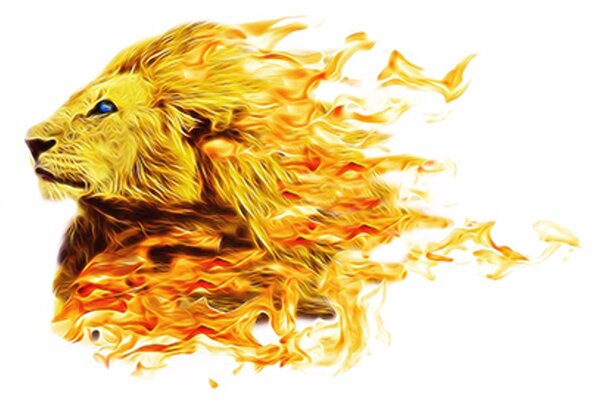 Tapet leu de foc